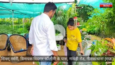 नीमकाथाना में सबसे अच्छी और सबसे सस्ती नर्सरी सभी ग्राफ्टेड पौधे डिस्काउंटेड रेटों पर मिलेंगे...#news #latestupdates