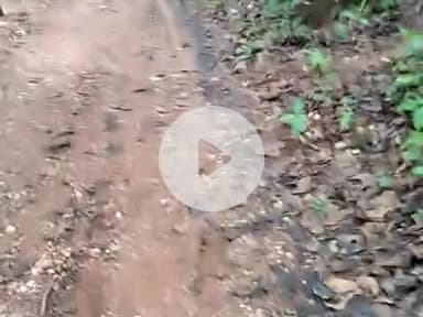 sonia park and ke jonjo panchyat keraber gaun jane wala kachi sadak