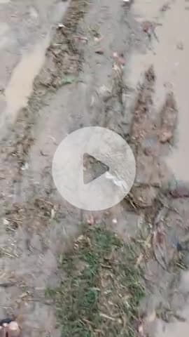 GUDHA katla ke Andala ki dhani ka road ki halat #viral