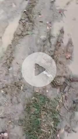 gudha katla मे आंदाला की ढाणी मे रोड की हालत खराब होने के कारण महिला ने किया विरोध विधायक साहब जी के प्रति