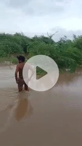 जिला मुरैना, तहसील सबलगढ़, ग्राम चनौटा
#मुरैना सबलगढ़ #@gajender8333