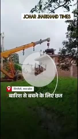 मध्य प्रदेश के सिंगरौली से एक #Madhya Pradesh #Singrauli #Buffalo #ViralVideo #HindiNews #LatestNews