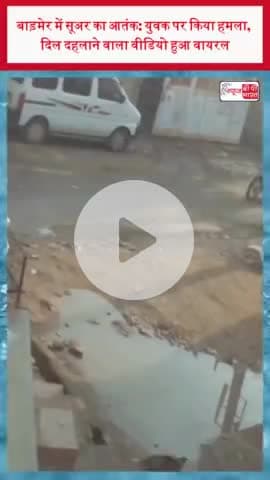 बाड़मेर में सूअर का आतंक: युवक पर किया हमला, दिल दहलाने वाला वीडियो हुआ वायरल
#बाड़मेर #सूअर #आतंक #युवक
