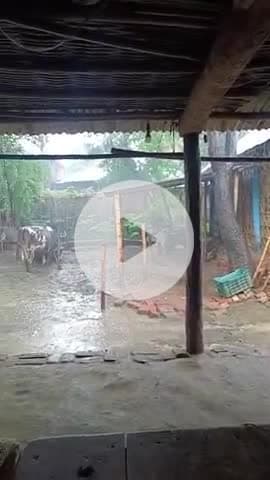 16/07/25 काफी बारिश हो रहा है आज⛈️ सुखासन पंचायत में #videos#viral#indan#Bihar#goalpara#sukhasan#manishbihari