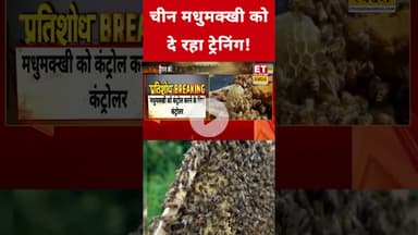 China की ट्रेनिंग देख रह जाएंगे हैरान ! #jinping #xijinping #china #trainging #honeybee