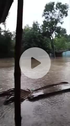 Allipur hatta gachhi tola me baris aane par ham log ka aane jae me bahut taklif hota hai nahi raste hai ward.13 mahnar