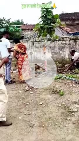 आज ग्राम kelbehra में पवधा रोपण किया गया