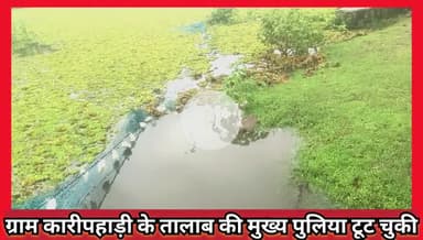 #कारीपहाड़ी #तालाब की पुलिया अचानक हुई ध्रुस्त पानी के तेज बहाओ के चलते