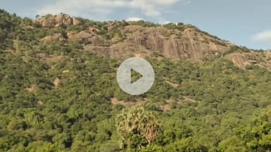ஜமுனாமரத்தூர்: ஜவ்வாது மலைப்பகுதியில் சுற்றித் திரியும் ஒற்றை காட்டு யானை- பொதுமக்கள் பீதி