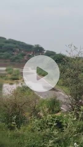 #Bharatpur sevla road @bharatpur news