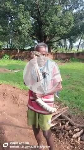gram archi ke Pramod Nishad ke Ghar Se nikala ajgar use pakadkar surakshit jungle mein chhoda Gaya