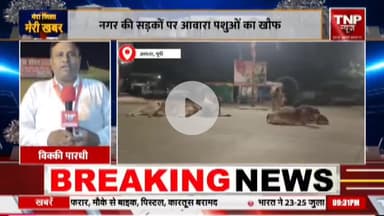*TNP News चैनल के खास प्रोग्राम मेरा जिला मेरी खबर मे रात 9:30बजे देखे आमला की खबर*