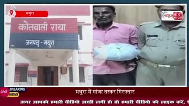 मथुरा पुलिस ने गांजा तस्कर को किया गिरफ्तार, अवैध गांजा बरामद
#मथुरा #पुलिस #गांजा #तस्कर #गिरफ्तार #गांजा