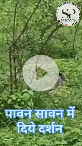 खरगोन में पावन सावन माह में हुए दर्शन
#Sambhagpost #MPBreakingNews #संभागपोस्ट #khargone #एमपीब्रेकिंग