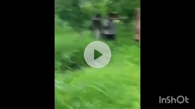 शहापूर: उपमुख्यमंत्र्यांच्या जिल्ह्यातच गर्भवती महिलेला ब्लॅंकेटच्या झोळीमधून रुग्णालयात नेण्याची वेळ, व्हिडिओ व्हायरल