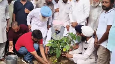 ਦਿੜਬਾ: ਦਿੜਬਾ ਵਿਖੇ ਪੰਜਾਬ ਦੇ ਵਿੱਤ ਮੰਤਰੀ ਹਰਪਾਲ ਚੀਮਾ ਨੇ  ਲਗਾਏ ਪੌਦੇ