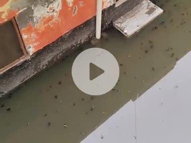 Ya Gali Etah chauraha oil mill ka picha
ha