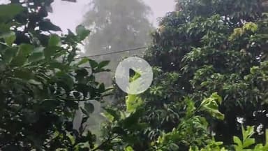 गोपालगंज जिले में हूई झमाझम बारिश , गर्मी से राहत मिली।
#pandeyashish422
#bihar #news #rainy#gopalganj