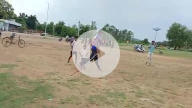 रतनपुर में हरेली पर्व मनाया गया