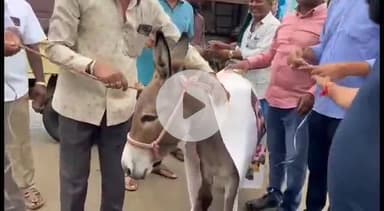 కమలాపూర్: MLA,కౌశిక్ రెడ్డి అనుచిత వ్యాఖ్యలకు నిరసనగా వినూత్నంగా గాడిదపై చిత్రపటానికి ఊరేగించిన కమలాపూర్ కాంగ్రెస్ నాయకులు