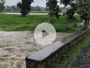 रोज्या गांव बारिश के चलते कई खेतों की हुई फसल नष्ट#