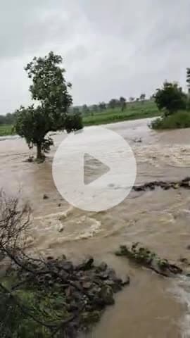 रोज्या गांव में भारी बारिश के दौरान खेतों में भर पानी##rojya@