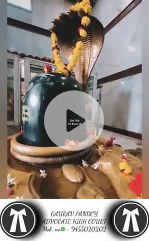 #श्रीराधे #श्रावणमास #हरियाली #तीज #हरितालिकातीज #बोलबम #काँवरिया#सावन #saavan #श्रीकृष्ण #maavindhyawasini #राधेकृष्ण