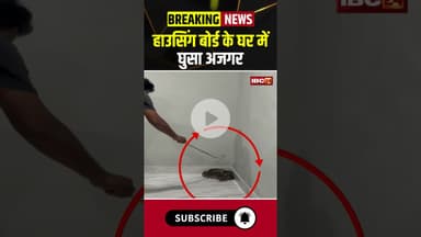 हाउसिंग बोर्ड के घर में घुसा अजगर #cgnews #snake #snakevideo #snakeviralvideo #viralvideo #viralnews