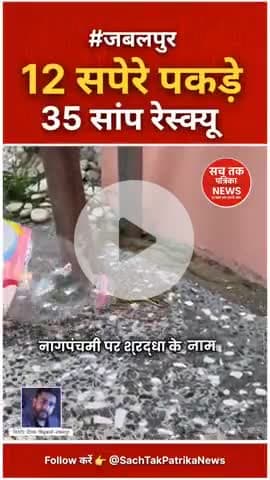 नागपंचमी पर 35 सांप रेस्क्यू, 12 सपेरे पकड़े गए | जबलपुर रिपोर्ट #JabalpurNews #NagPancham @sachtakpatrikanews