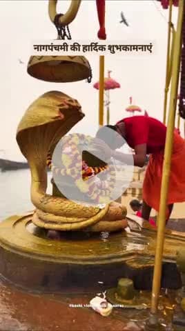 नागपंचमी की हार्दिक शुभकामनाएं
#kashivishwanathtemple #kashivishwanathbanaras #banarashinduuniversity #india #kashi
