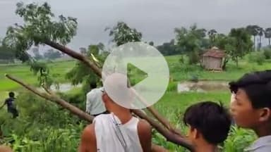 गरखा प्रखंड पिरारी गांव में सुबह 4:00 बिजली पर पेड़ गिर गया#