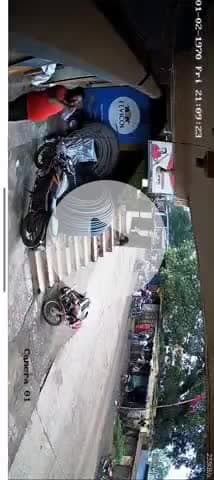 noamundi me pipal ka ped gira