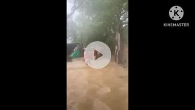 बौंली: रघुवंटी गांव चारों तरफ पानी से घिरा, प्रशासन ने रेस्क्यू टीम के साथ पहुंचाई राहत