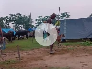 रतीपुर बैरिया पंचायत c.t.s नाथनगर भागलपुर बाढ़ का विडीयो