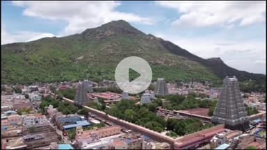 கீழ்பென்னாத்தூர்: கர்ணம்பூண்டி பகுதியில் பிரியாணி சாப்பிட்ட 4 வளர்ப்பு நாய்கள் வாயில் நுரை தள்ளியபடி உயிரிழப்பு