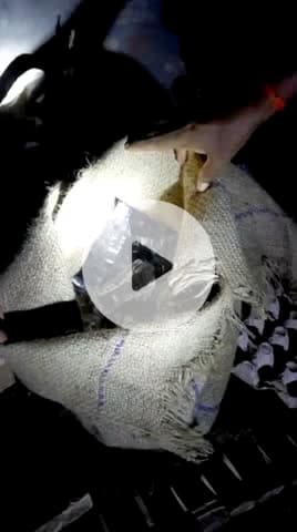 पुलिस ने शराब को किया बरामद, थाना अध्यक्ष ने दी जानकारी