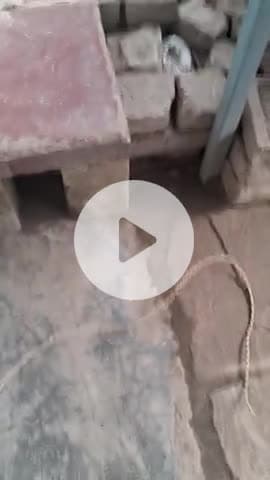 नगरा शहर में आबकारी विभाग का छापा दीपक बुक स्टोर पर शराब की एक खेप बरामद हुई जिसका संचालक पप्पू साह है