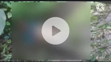 बोराम: बोड़ाम में मिर्जाडीह हाट के पास मिला अज्ञात युवक का शव, पुलिस जांच में जुटी