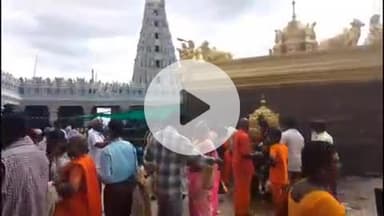 கே.வி.குப்பம்: கே.வி.குப்பம் மகாதேவ மலையில் ஆடி கிருத்திகை விழாவை முன்னிட்டு குவிந்த பக்தர்கள்