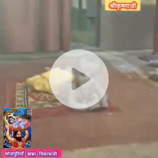 जन्माष्टमी 🪈 मे मग्न हुए भारतवासी,सनातनी लोग #krishna #janmashtami2025 #kaimur #bihar #news #bhabua #kudra #hindustan