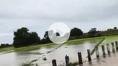 గుండ్లపల్లి: మండల వ్యాప్తంగా కురుస్తున్న భారీ వర్షాలకు పొంగిపొర్లుతున్న వాగులు, వంకలు, తవక్లాపూర్లో నీట మునిగిన పంట పొలాలు