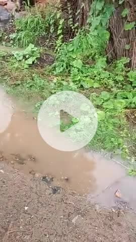 बरसात का पानी भरा घरों में और हो रही दिक्कत ग्रामीणों को