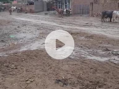 ramsara arjunsar mai baris