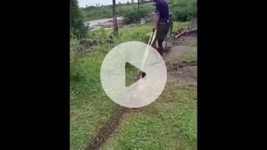 వలిగొండ: వలిగొండ మండలంలోని దుప్పిపల్లి లో కళ్ళు గీస్తుండగా కనిపించిన భారీ కొండ చిలువ