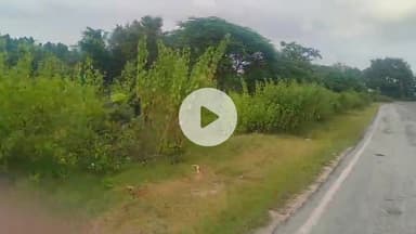 latehar road Sikni ki ghatna 🥺 #News #aajtak