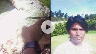 குந்தா: காட்டு யானைகளின் தாக்குதல்களால் பறிபோகும் உயிர்கள், வனசரக பகுதியில் நடந்த கொடூர சம்பவம்