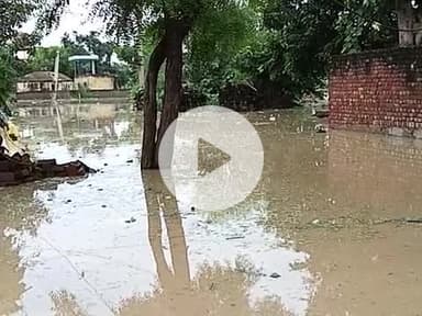 गांव तारोंदर नगर डीग की हालत