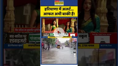 हरियाणा में अलर्ट...आफत अभी बाकी है! #haryana #flooding