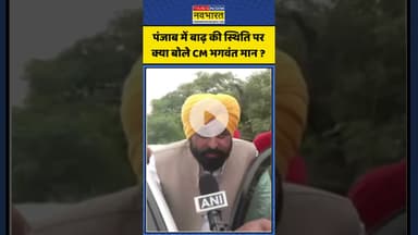 Punjab में बाढ़ की स्थिति पर क्या बोले CM Bhagwant Mann ? | #shortsvideo #shorts #monsoon2025
