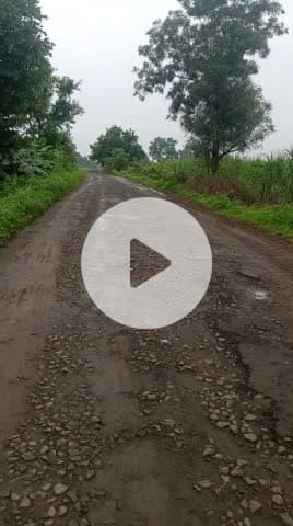 नेवली कलान का रासता सरपंच क्या सो गया है